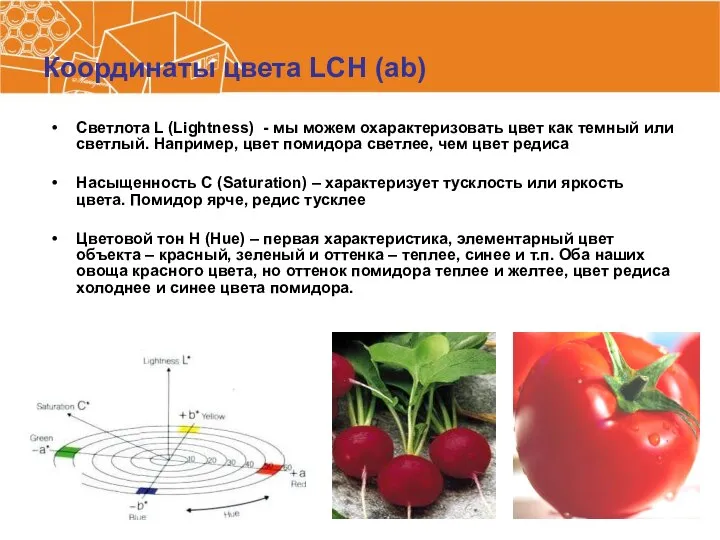 Координаты цвета LCH (ab) Светлота L (Lightness) - мы можем охарактеризовать
