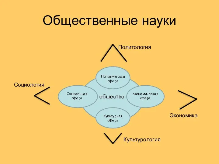 Общественные науки общество Политическая сфера экономическая сфера Социальная сфера Культурная сфера Политология Социология Экономика Культурология