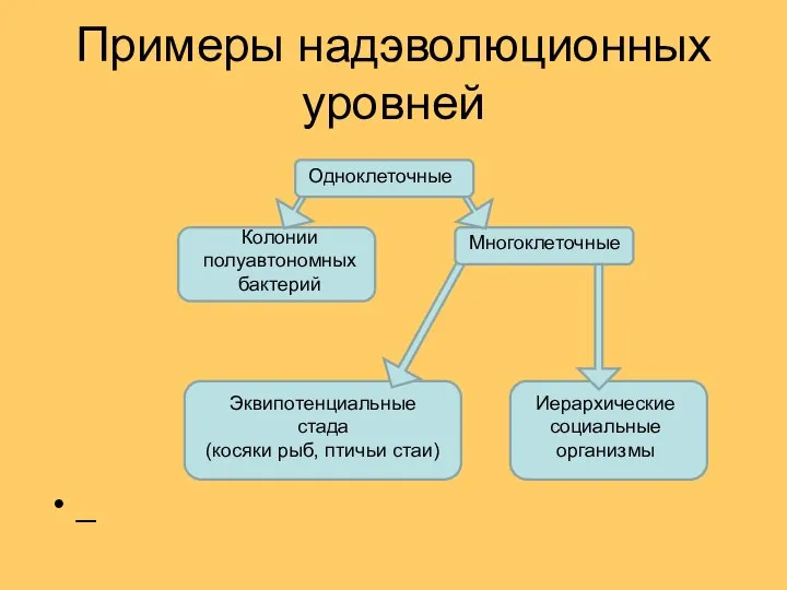 Примеры надэволюционных уровней _ Одноклеточные Многоклеточные Колонии полуавтономных бактерий Эквипотенциальные стада