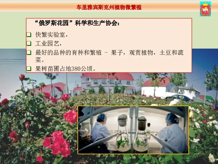 “俄罗斯花园”科学和生产协会： 快繁实验室， 工业园艺， 最好的品种的育种和繁殖 - 果子，观赏植物，土豆和蔬菜。 果树苗圃占地380公顷。