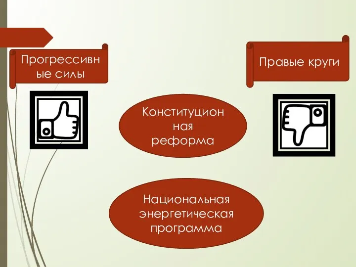 Прогрессивные силы Правые круги Национальная энергетическая программа Конституционная реформа