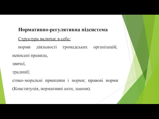 Нормативно-регулятивна підсистема Струк­тура включає в себе: норми діяльності гро­мадських організацій; неписані