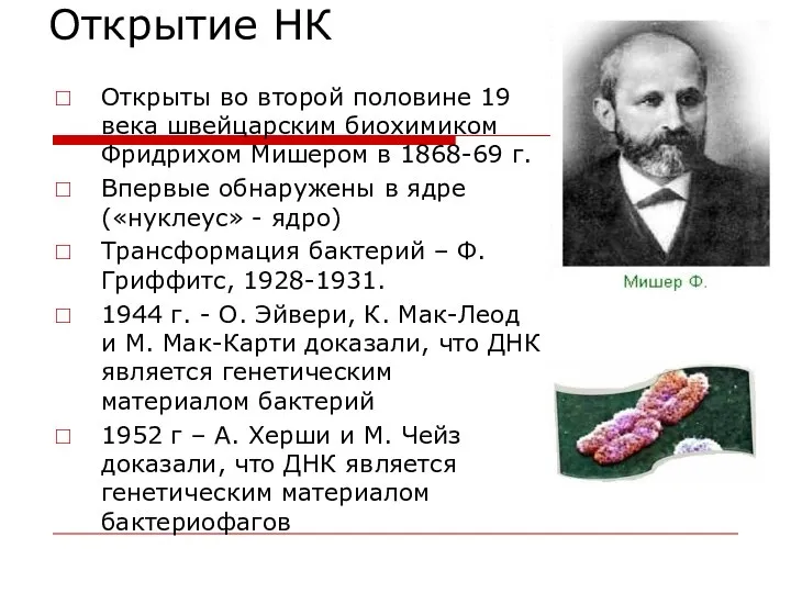 Открытие НК Открыты во второй половине 19 века швейцарским биохимиком Фридрихом