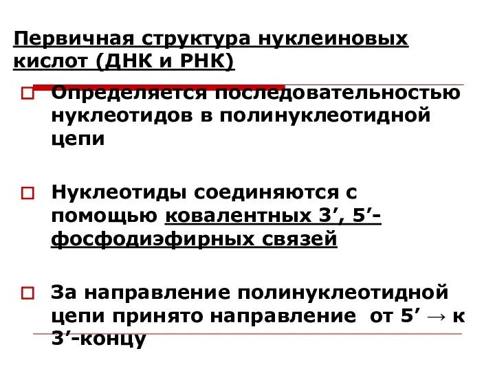 Первичная структура нуклеиновых кислот (ДНК и РНК) Определяется последовательностью нуклеотидов в