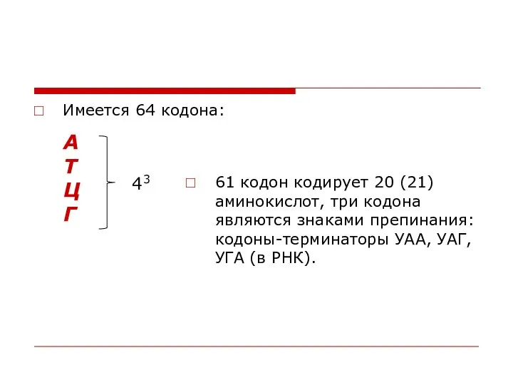 Имеется 64 кодона: 61 кодон кодирует 20 (21) аминокислот, три кодона