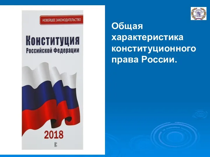 Общая характеристика конституционного права России.
