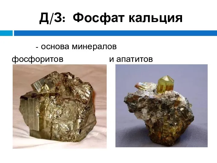 Д/З: Фосфат кальция - основа минералов фосфоритов и апатитов