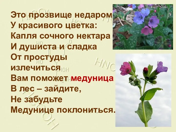 Это прозвище недаром У красивого цветка: Капля сочного нектара И душиста