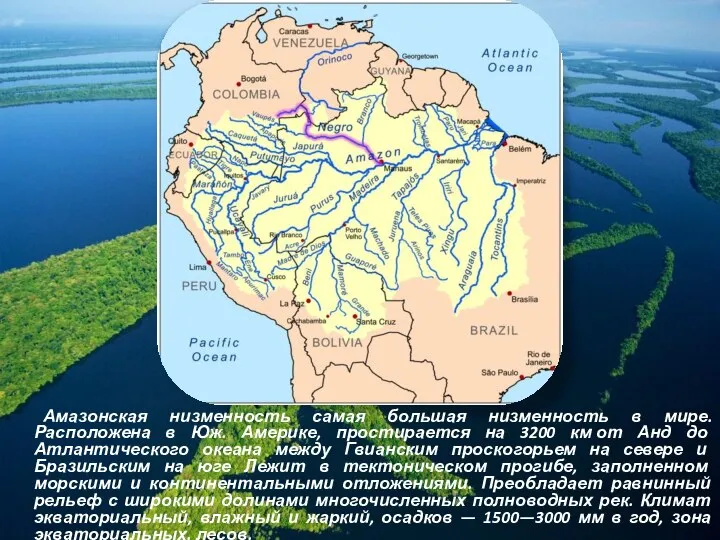Амазонская низменность самая большая низменность в мире. Расположена в Юж. Америке,