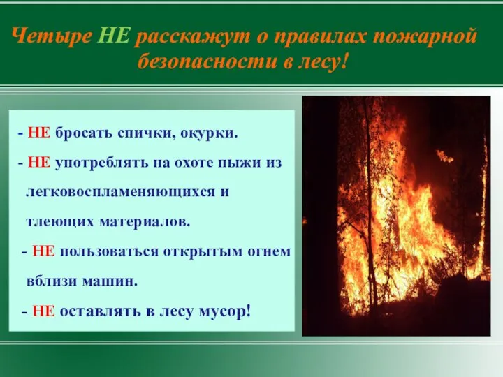 Четыре НЕ расскажут о правилах пожарной безопасности в лесу! - НЕ