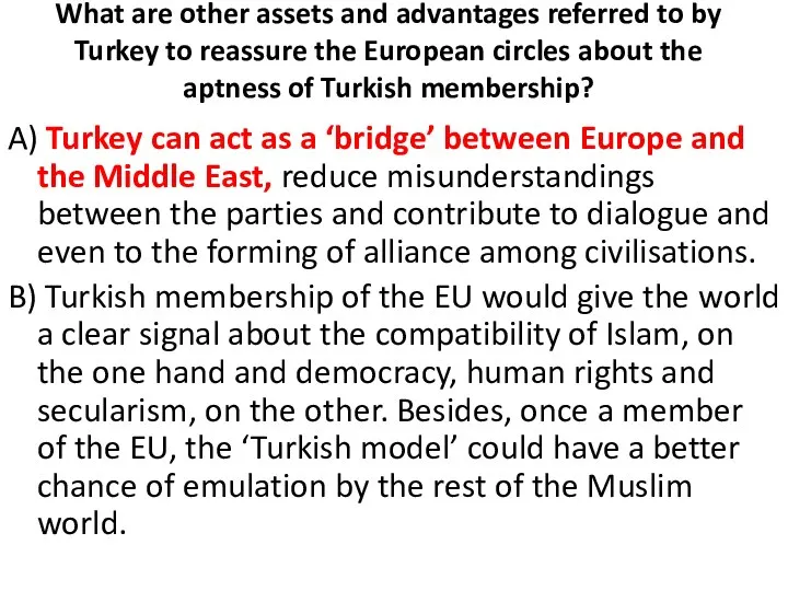 What are other assets and advantages referred to by Turkey to