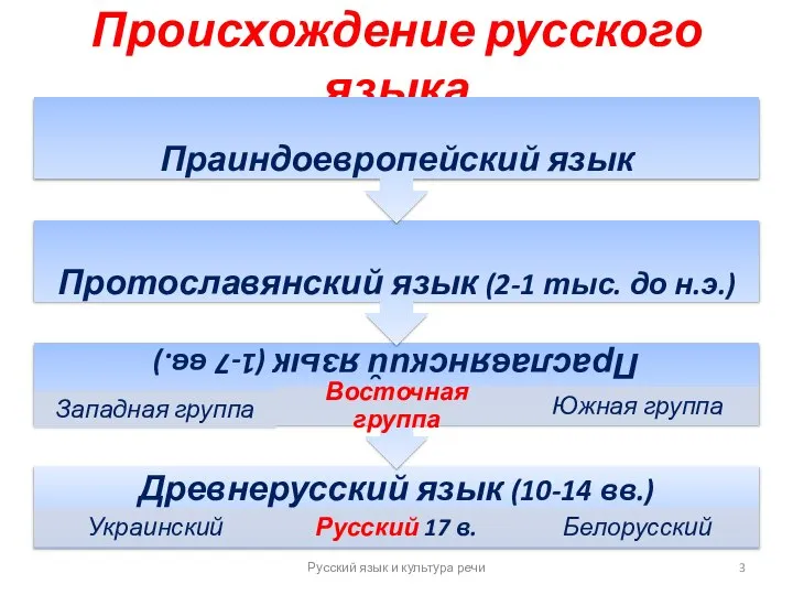 Происхождение русского языка Русский язык и культура речи