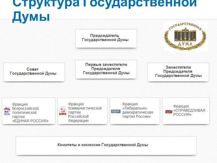 Структура Государственной Думы