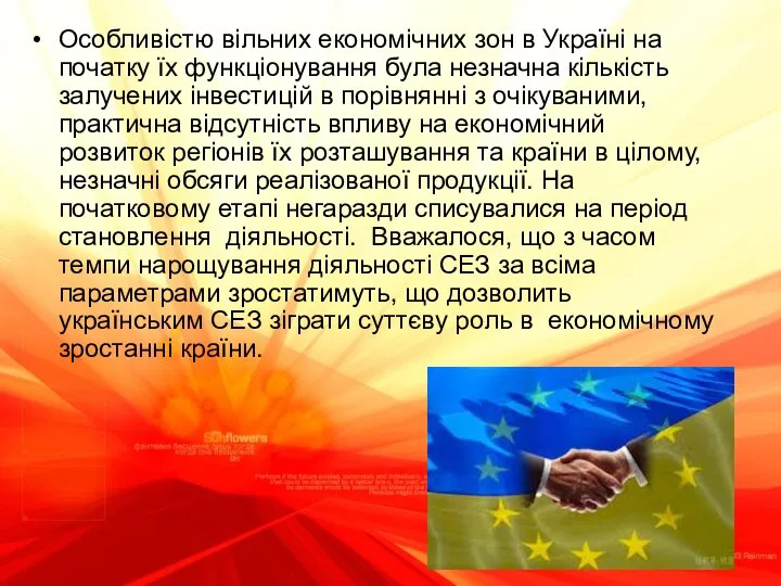 Особливістю вільних економічних зон в Україні на початку їх функціонування була