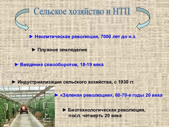 Сельское хозяйство и НТП ► Неолитическая революция, 7000 лет до н.э.