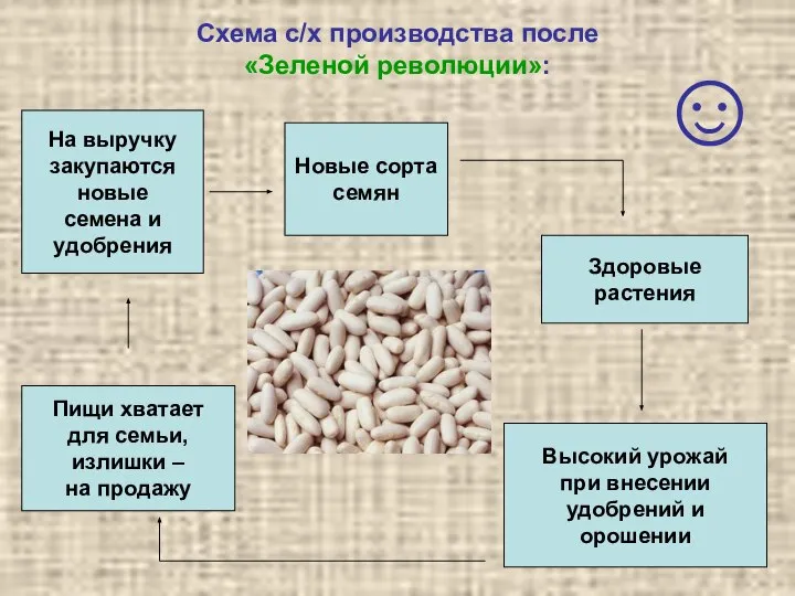 Схема с/х производства после «Зеленой революции»: Новые сорта семян Здоровые растения