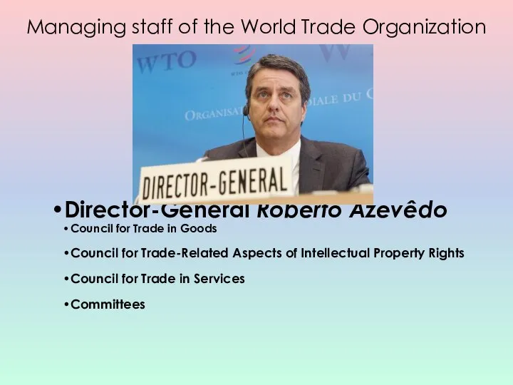 Director-General Roberto Azevêdo Council for Trade in Goods Council for Trade-Related