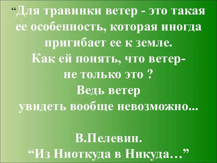 “Для травинки ветер - это такая ее особенность, которая иногда пригибает