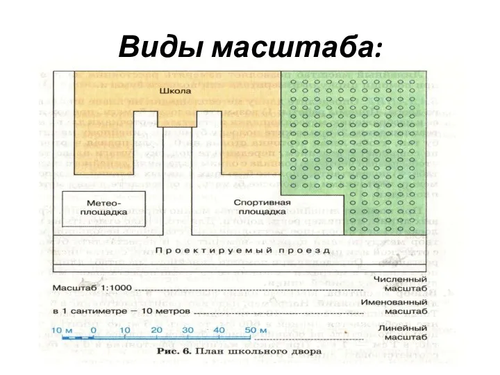 Виды масштаба: