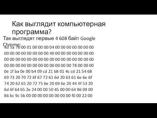 Как выглядит компьютерная программа? 4d 5a 78 00 01 00 00