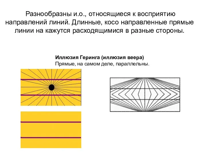 Иллюзия Геринга (иллюзия веера) Прямые, на самом деле, параллельны. Разнообразны и.о.,