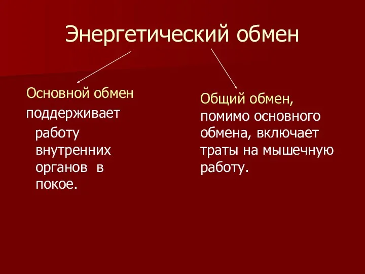 Энергетический обмен Основной обмен поддерживает работу внутренних органов в покое. Общий