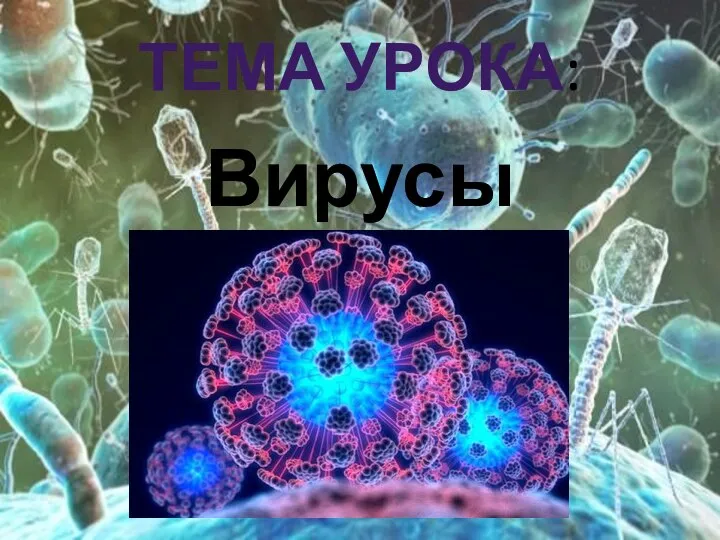 ТЕМА УРОКА: Вирусы