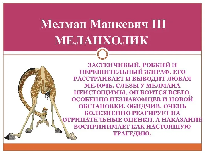 ЗАСТЕНЧИВЫЙ, РОБКИЙ И НЕРЕШИТЕЛЬНЫЙ ЖИРАФ. ЕГО РАССТРАИВАЕТ И ВЫВОДИТ ЛЮБАЯ МЕЛОЧЬ.