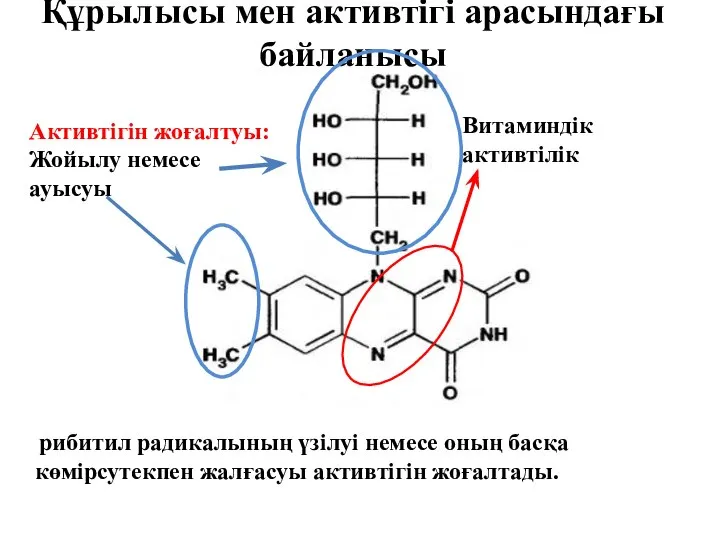 Құрылысы мен активтігі арасындағы байланысы рибитил радикалының үзілуі немесе оның басқа