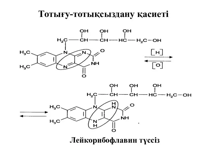 Тотығу-тотықсыздану қасиеті Лейкорибофлавин түссіз