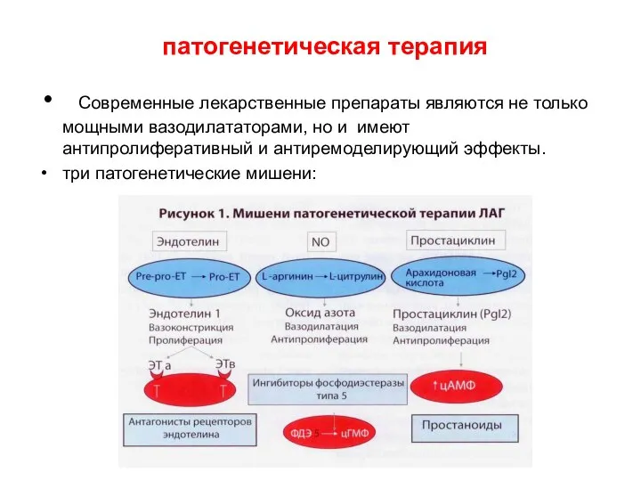 патогенетическая терапия Современные лекарственные препараты являются не только мощными вазодилататорами, но