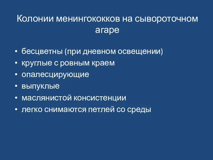 Колонии менингококков на сывороточном агаре бесцветны (при дневном освещении) круглые с