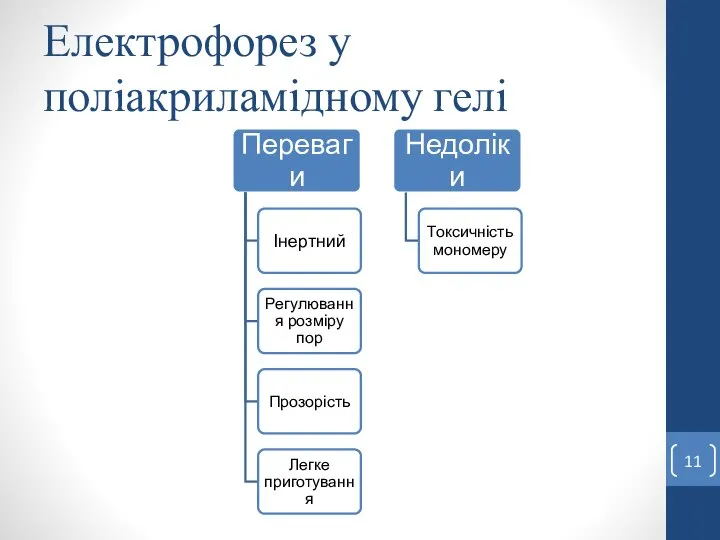 Електрофорез у поліакриламідному гелі