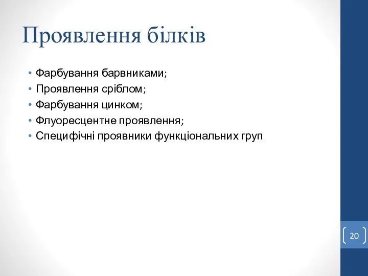 Проявлення білків Фарбування барвниками; Проявлення сріблом; Фарбування цинком; Флуоресцентне проявлення; Специфічні проявники функціональних груп