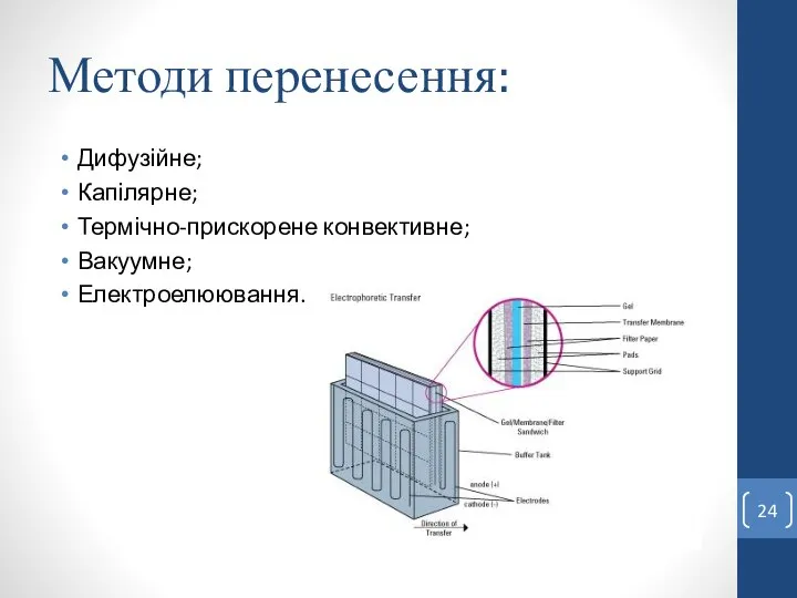 Методи перенесення: Дифузійне; Капілярне; Термічно-прискорене конвективне; Вакуумне; Електроелюювання.