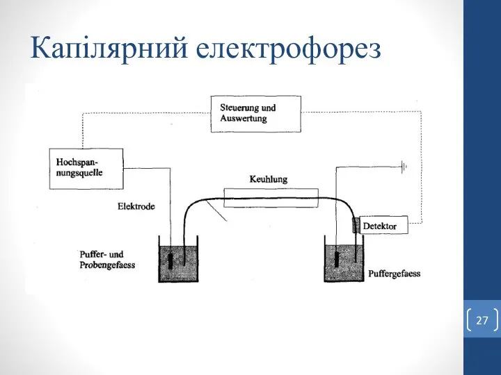 Капілярний електрофорез