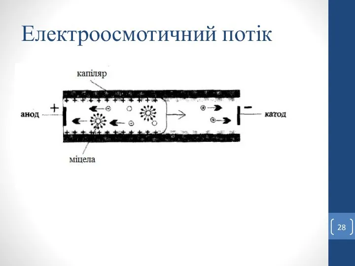 Електроосмотичний потік