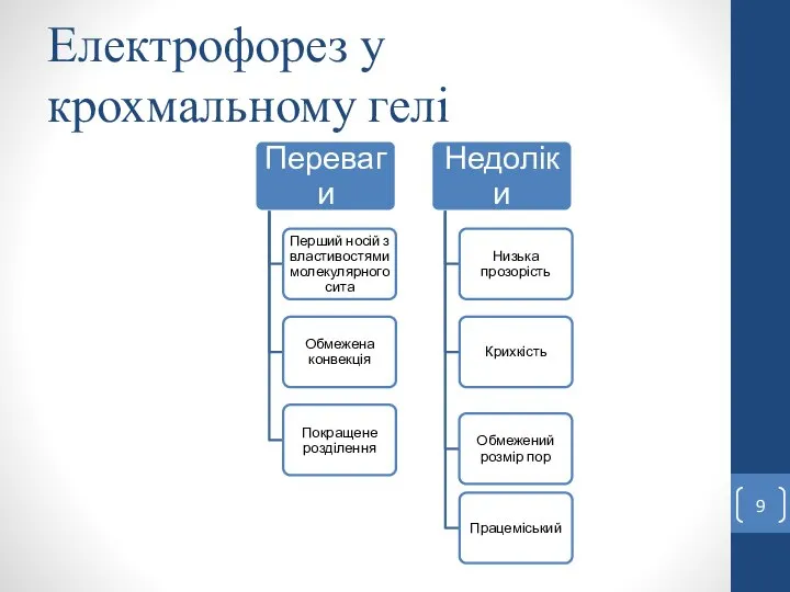 Електрофорез у крохмальному гелі