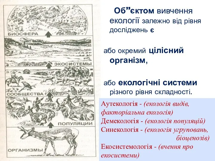 Об”єктом вивчення екології залежно від рівня досліджень є або окремий цілісний