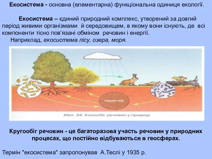 Екосистема - основна (елементарна) функціональна одиниця екології. Екосистема – єдиний природний