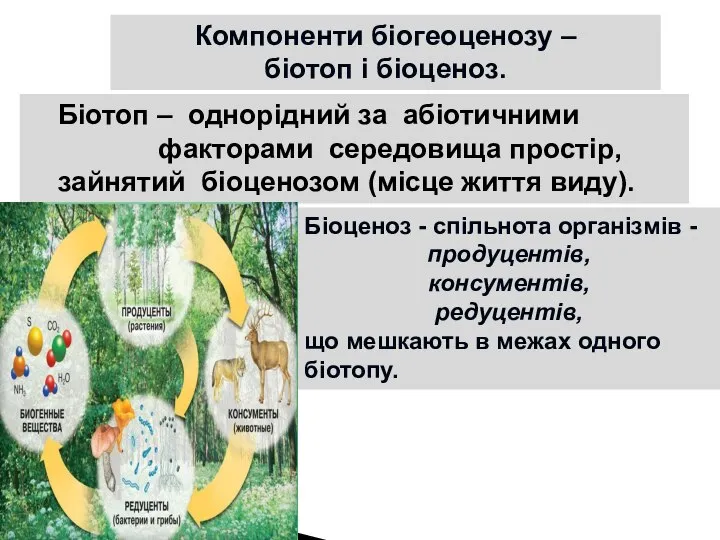 Біотоп – однорідний за абіотичними факторами середовища простір, зайнятий біоценозом (місце