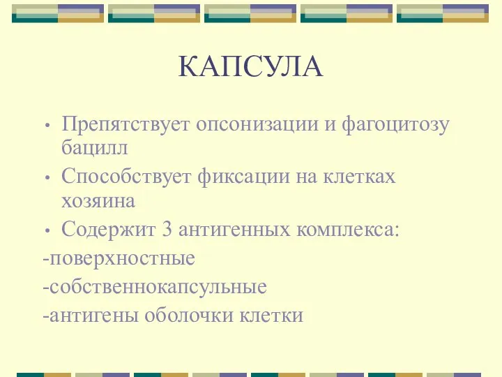 КАПСУЛА Препятствует опсонизации и фагоцитозу бацилл Способствует фиксации на клетках хозяина