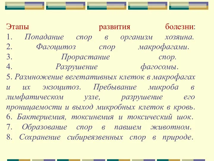 Этапы развития болезни: 1. Попадание спор в организм хозяина. 2. Фагоцитоз