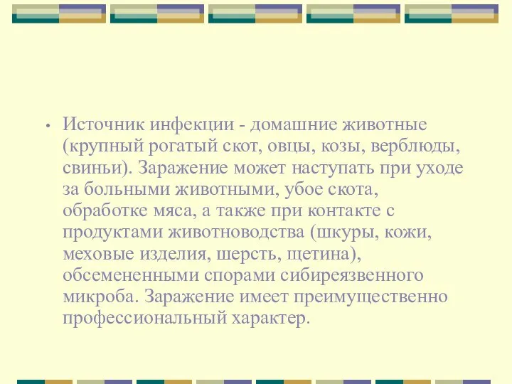 Источник инфекции - домашние животные (крупный рогатый скот, овцы, козы, верблюды,