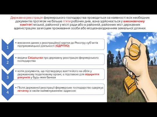 Державна реєстрація фермерського господарства проводиться за наявності всіх необхідних документів протягом