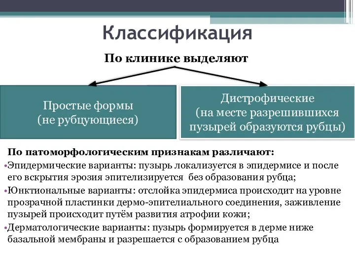 Классификация По клинике выделяют По патоморфологическим признакам различают: Эпидермические варианты: пузырь