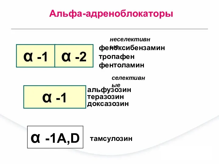 феноксибензамин тропафен фентоламин α -1 α -1А,D альфузозин теразозин доксазозин тамсулозин неселективные селективные Альфа-адреноблокаторы