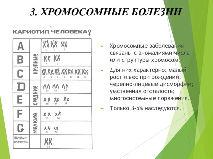 3. ХРОМОСОМНЫЕ БОЛЕЗНИ Хромосомные заболевания связаны с аномалиями числа или структуры