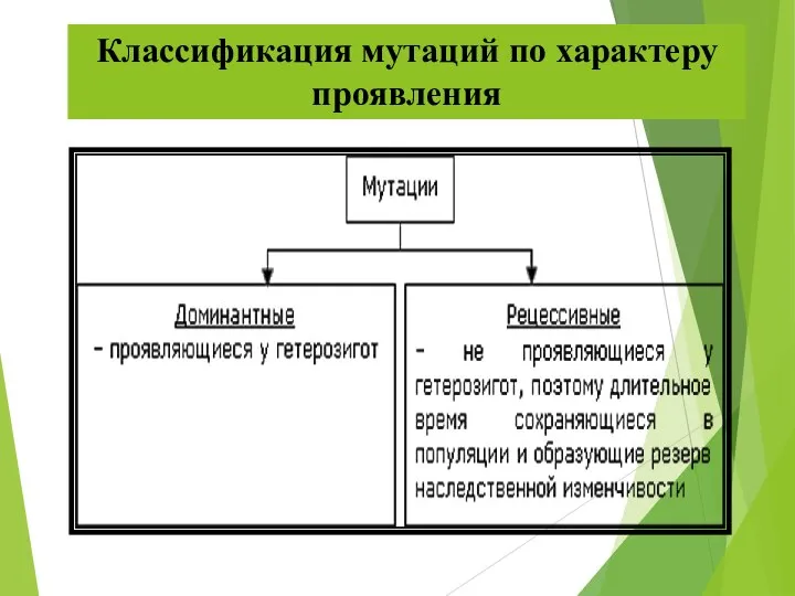 Классификация мутаций по характеру проявления