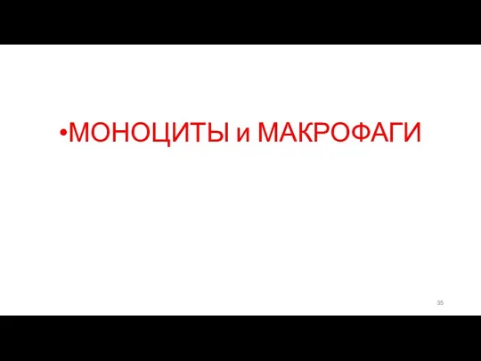 МОНОЦИТЫ и МАКРОФАГИ